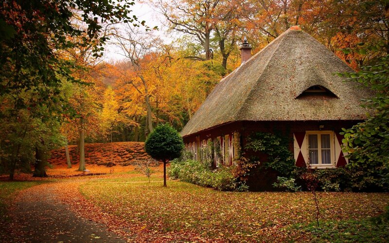 Thatched Cottage in Autumn — Orange, Serene, Photograph, Forest, Path