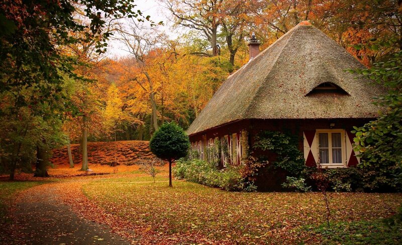 Thatched Cottage in Autumn — Orange, Serene, Photograph, Trees, Leaves
