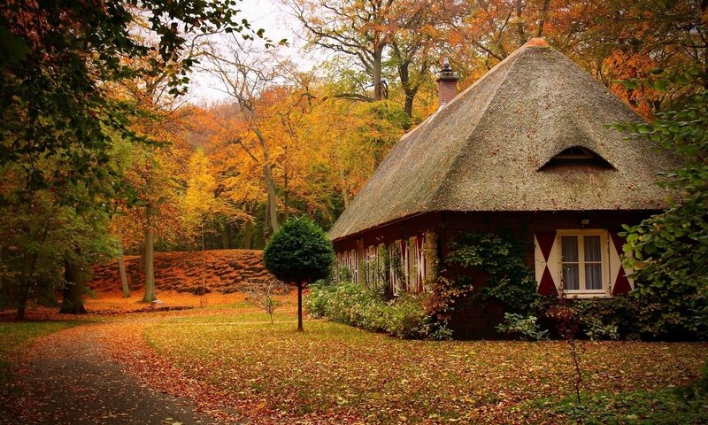 Thatched Cottage in Autumn — Orange, Serene
