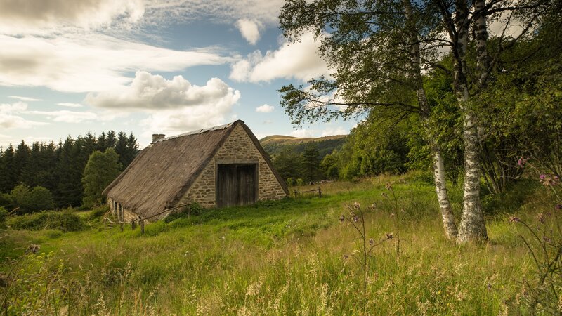 Thatched Cottage in Field — Green, Serene, Afternoon, Photograph, Trees