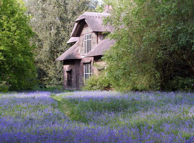 Thatched Cottage in Field — Purple