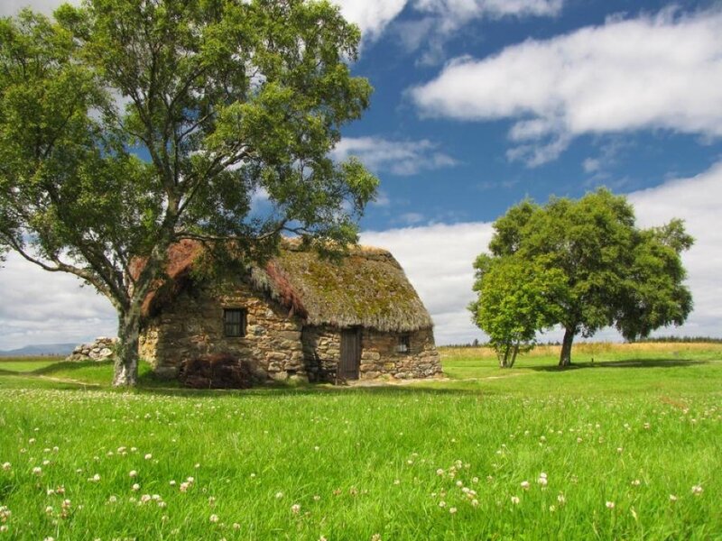 Thatched Cottage in Field