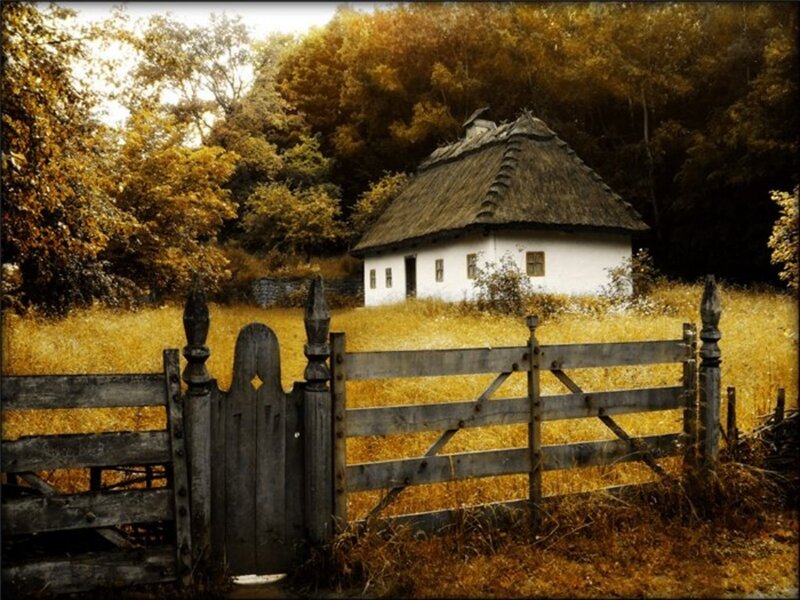 Thatched Cottage in Field — Yellow