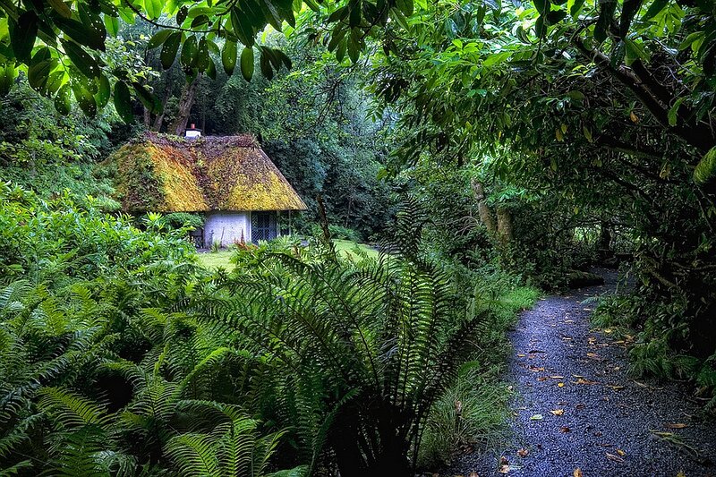 Thatched Cottage in Forest — Green, Serene, Morning, Photograph