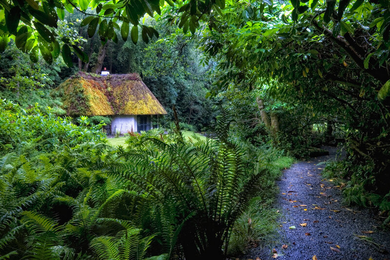 Thatched Cottage in Forest — Green, Serene