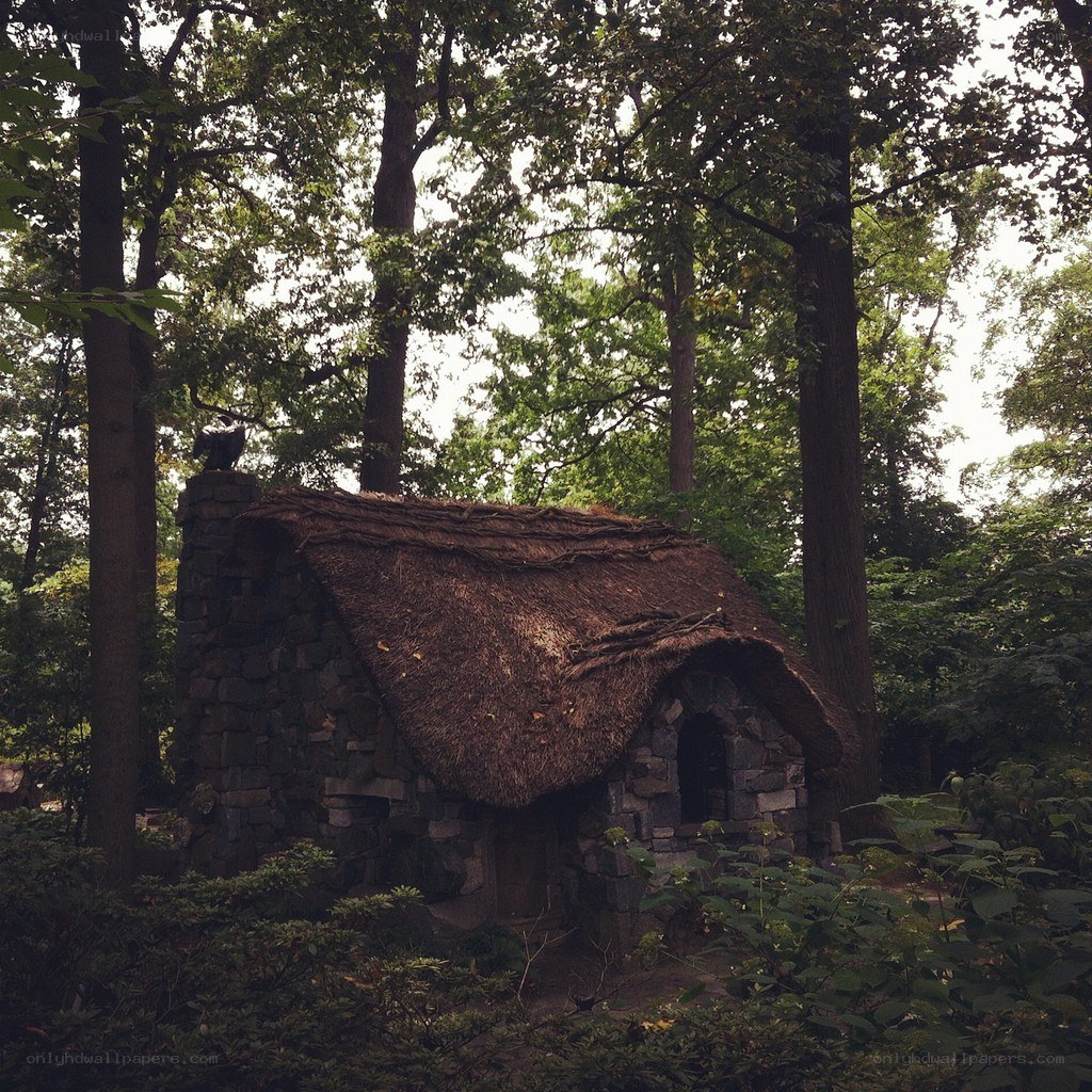 Thatched cottage in forest