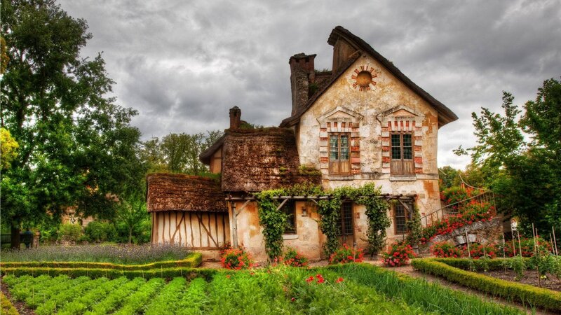 Thatched Cottage in Garden — Green, Dramatic, Afternoon, Photograph