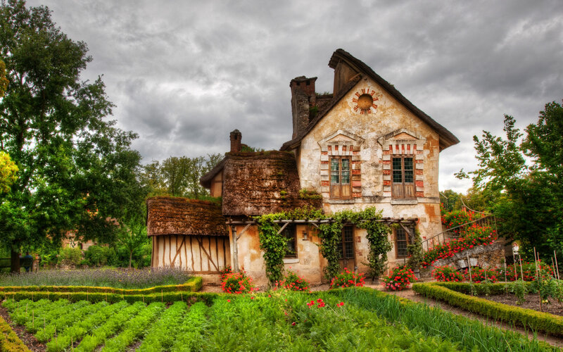 Thatched Cottage in Garden — Green, Dramatic, Afternoon