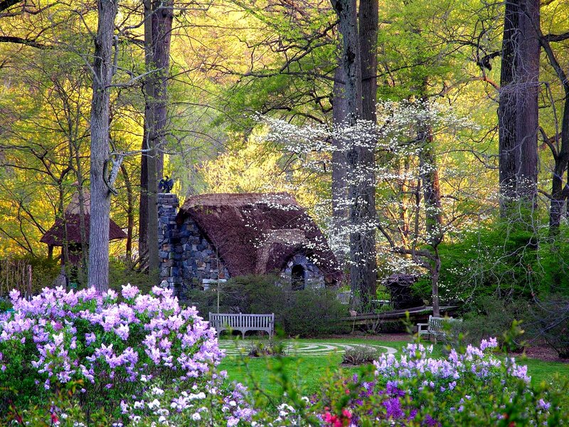 Thatched Cottage in Garden — Green, Serene, Spring, Photograph, Flowers