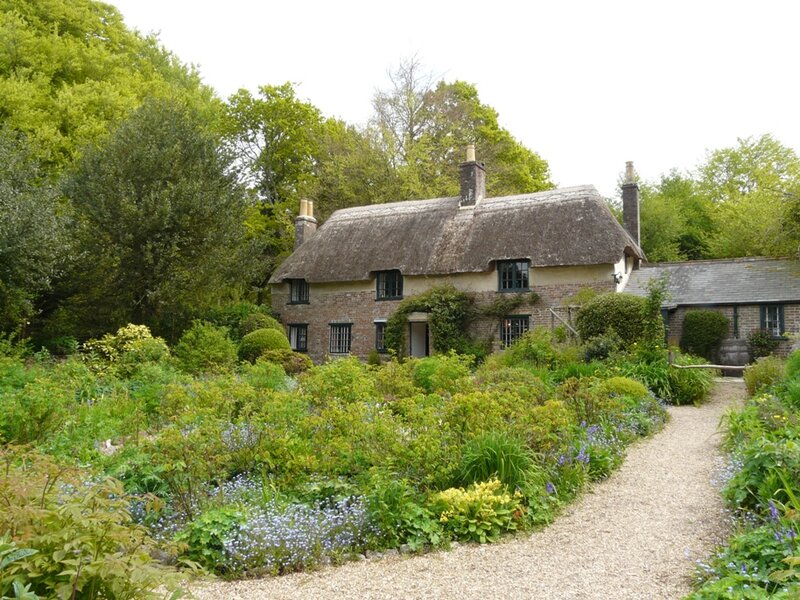 Thatched Cottage in Garden — Green, Serene, Summer