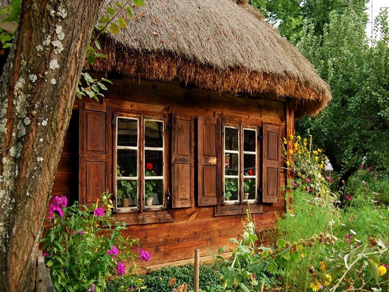 Thatched cottage in garden