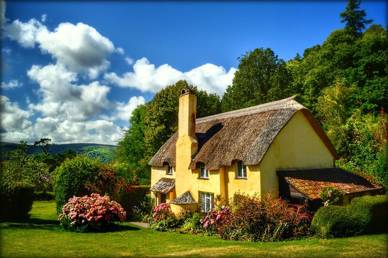 Thatched Cottage in Garden — Yellow, Serene, Afternoon