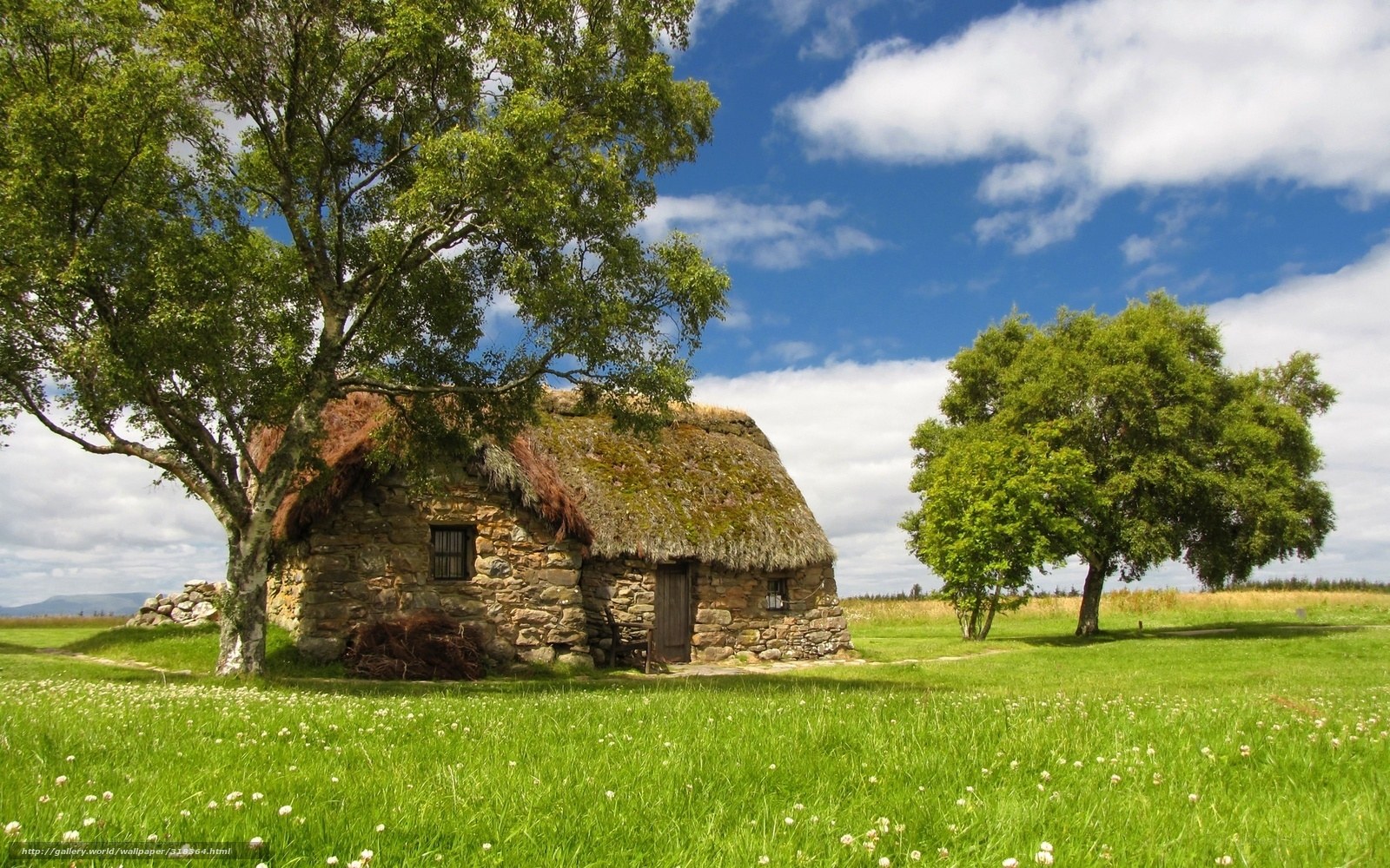 Thatched cottage in green field