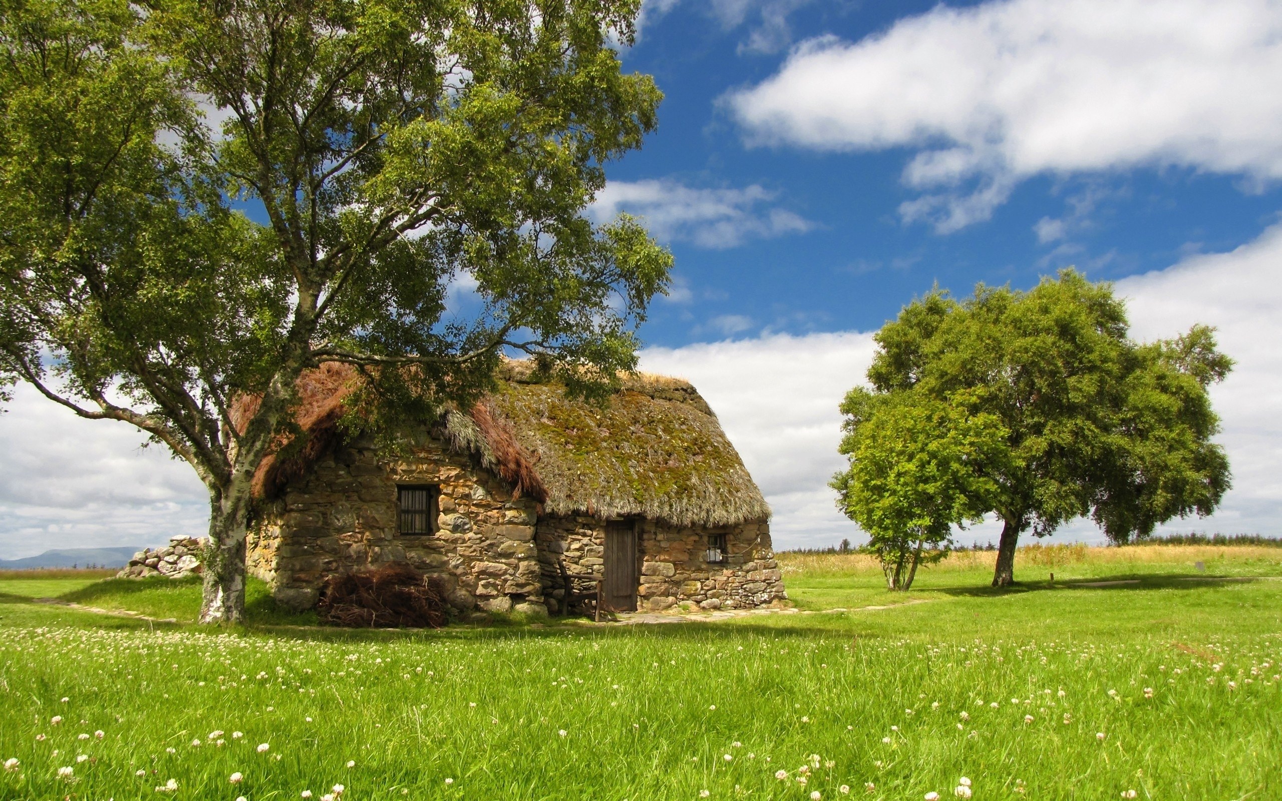 Thatched cottage in green field