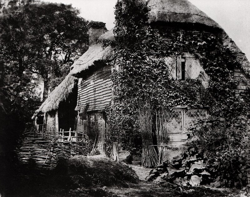 Thatched cottage in ivy