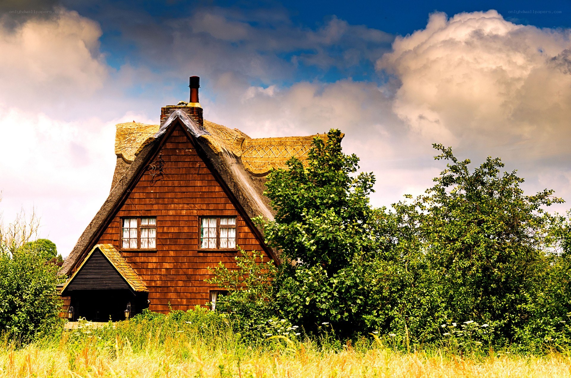 Thatched cottage in rural landscape
