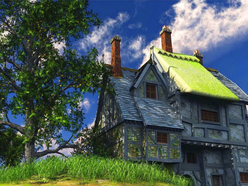 Thatched Cottage on Hill
