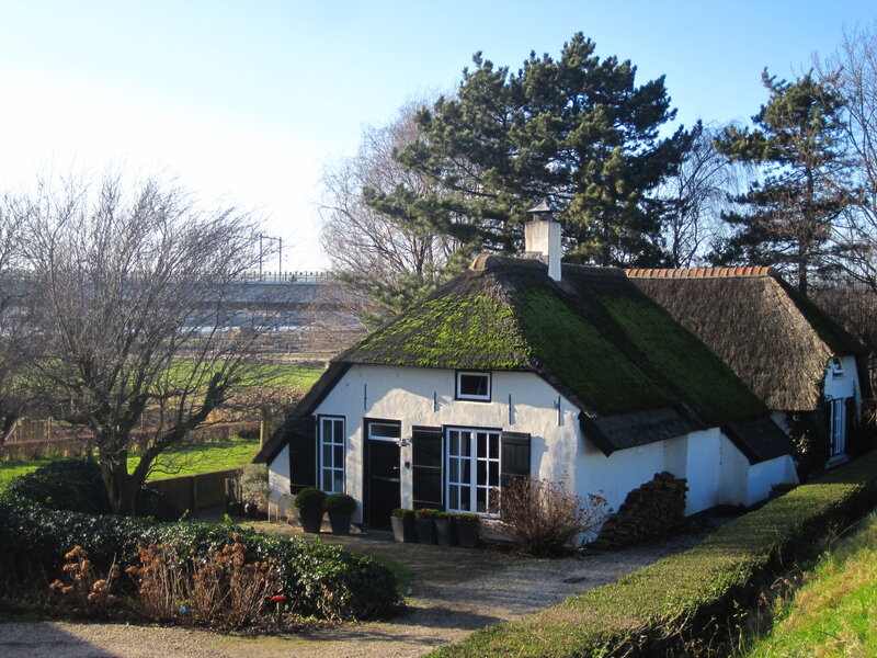 Thatched Cottage — White, Serene, Afternoon, Photograph, Trees