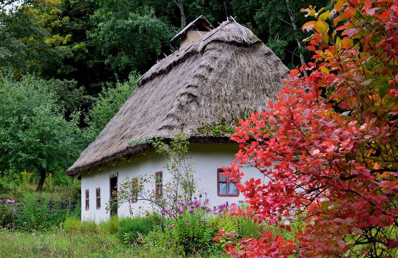 Thatched Cottage — White, Serene, Autumn