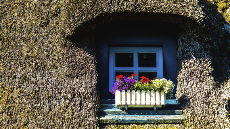 Thatched Cottage Window