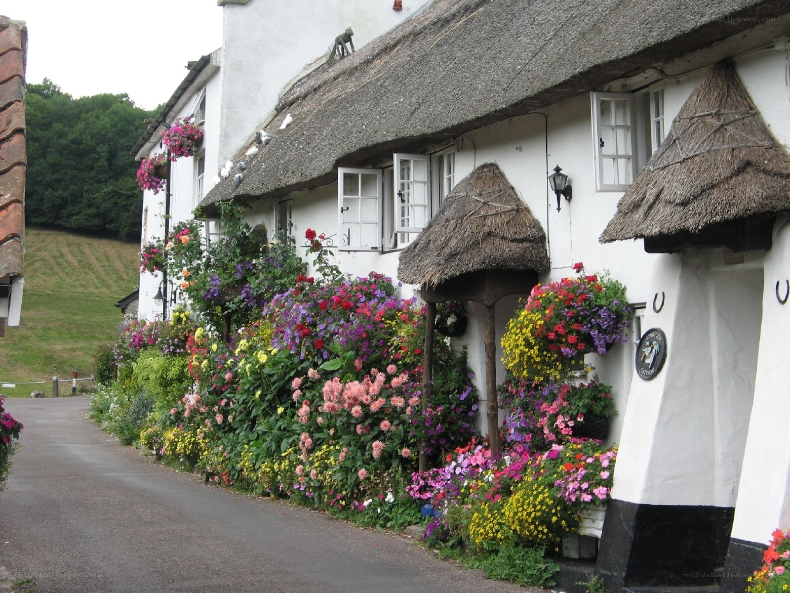 Thatched cottage with flowers