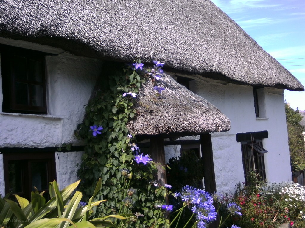Thatched cottage with flowers