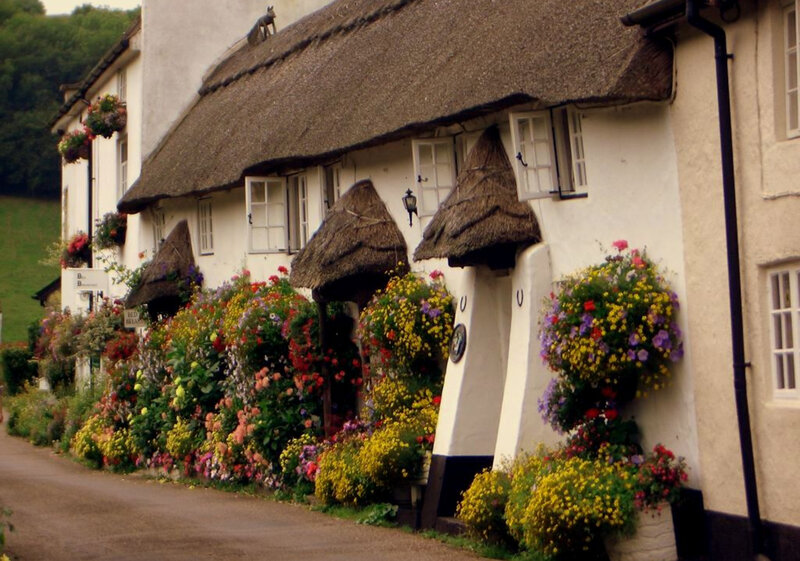 Thatched cottage with flowers