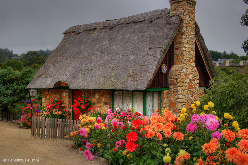 Thatched Cottage with Flowers — Orange