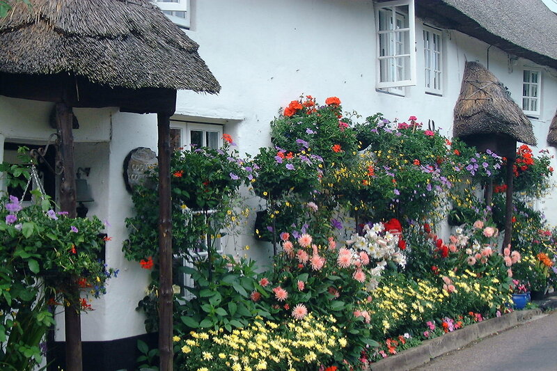 Thatched Cottage with Flowers — White