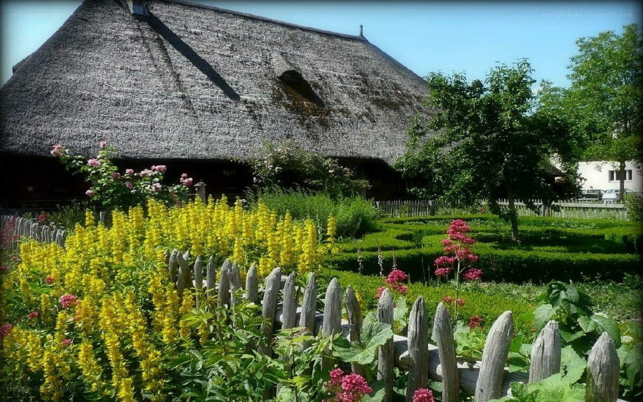 Thatched cottage with garden