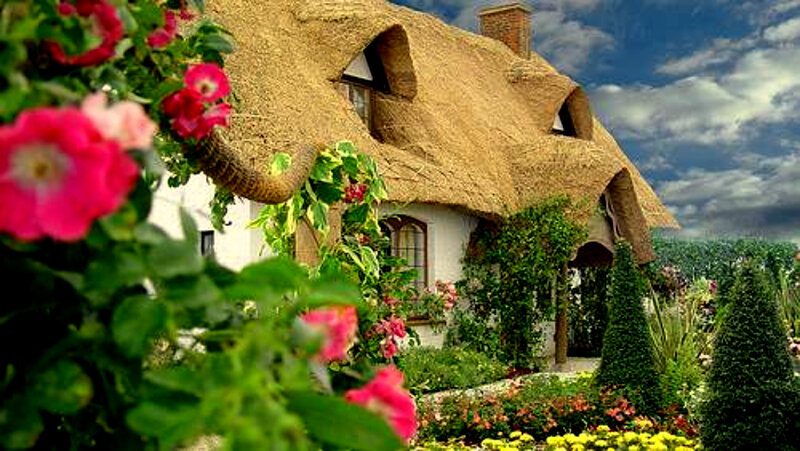 Thatched cottage with garden