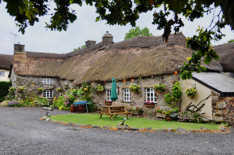 Thatched cottage with garden