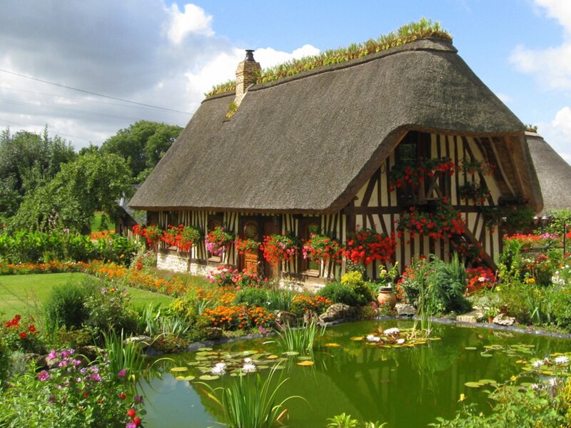 Thatched Cottage with Garden — Green, Serene, Afternoon