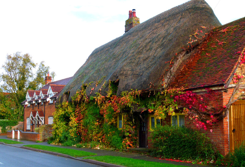 Thatched Cottage with Ivy