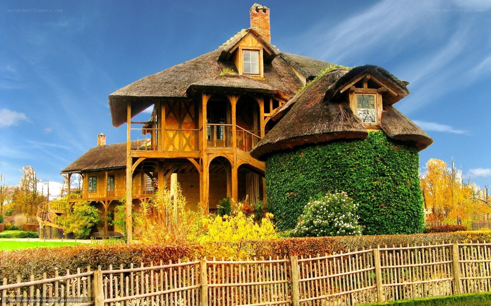 Thatched cottage with ivy walls