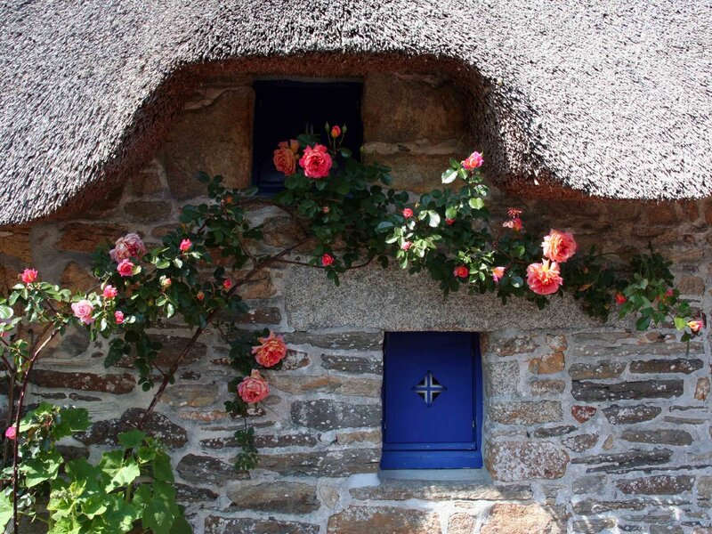 Thatched Cottage with Roses