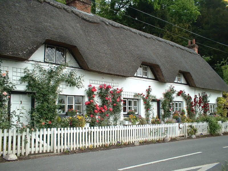 Thatched Cottage with Roses — White, Peaceful