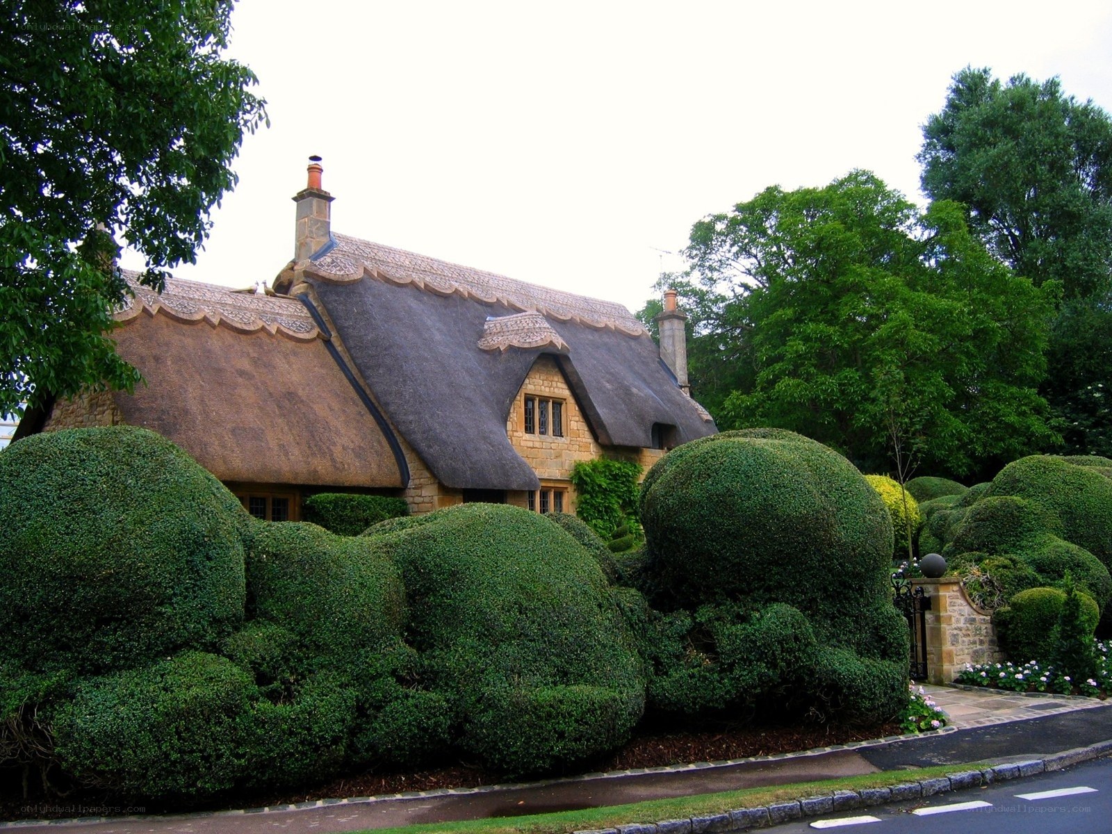 Thatched cottage with topiary garden