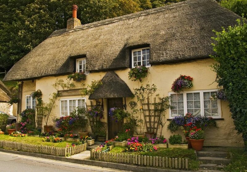 Thatched Cottage — Yellow, Serene, Afternoon, Photograph, Flowers