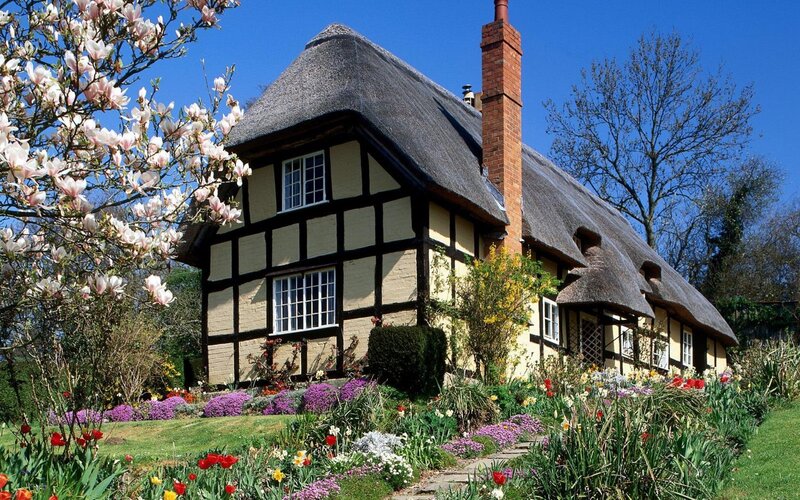 Thatched Cottage — Yellow, Serene, Spring