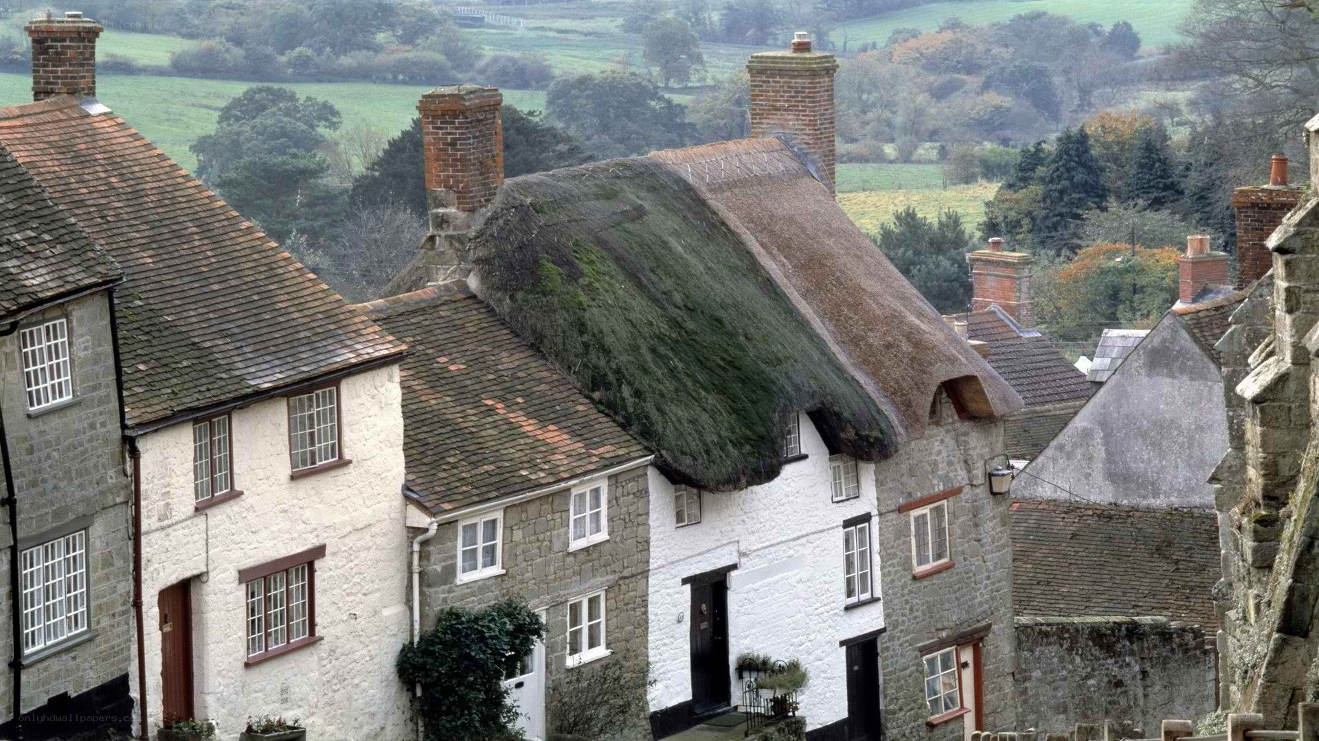 thatched cottages in a village