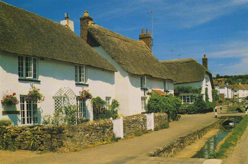 Thatched cottages in a village