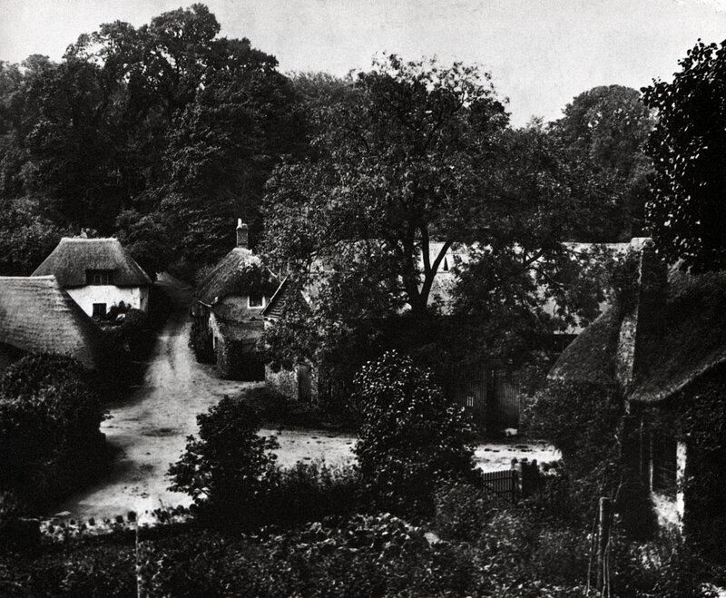 Thatched cottages in a village