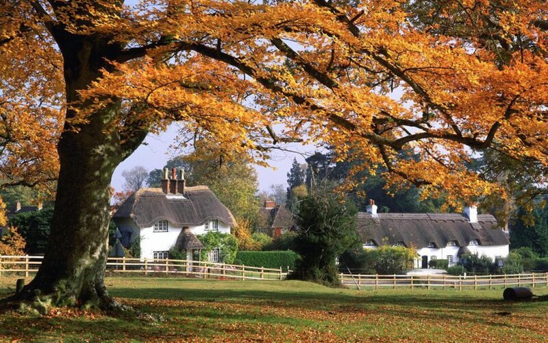 Thatched Cottages in Autumn — Orange