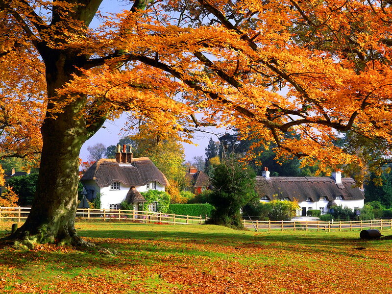 Thatched Cottages in Autumn