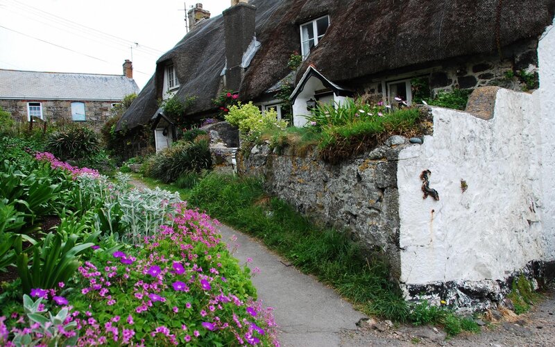 Thatched Cottages in Garden — Purple