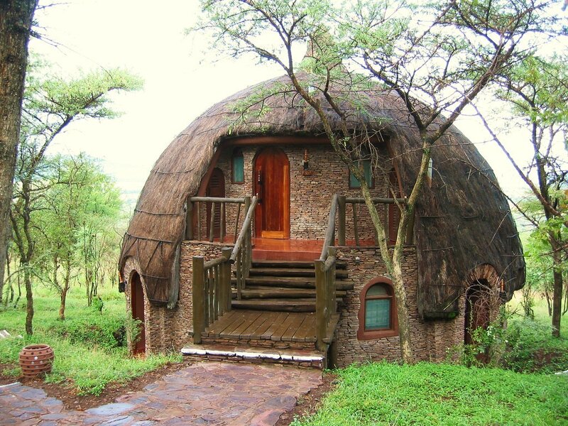 thatched dome house in forest