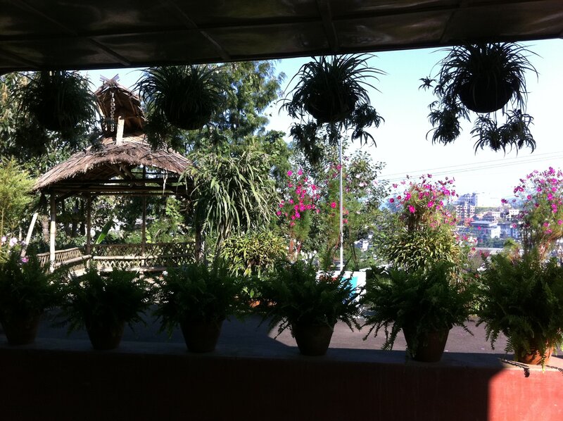 Thatched Gazebo with Plants