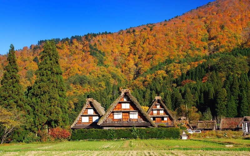 Thatched houses in autumn