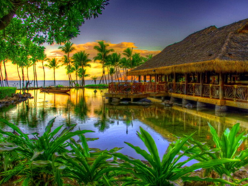 Thatched Hut at Sunset — Green, Serene